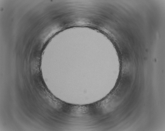 X0000087641314200705241230