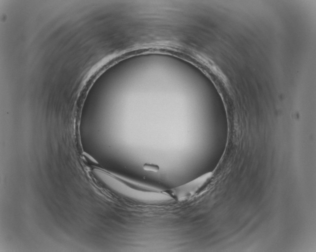 X0000087641316200705241230