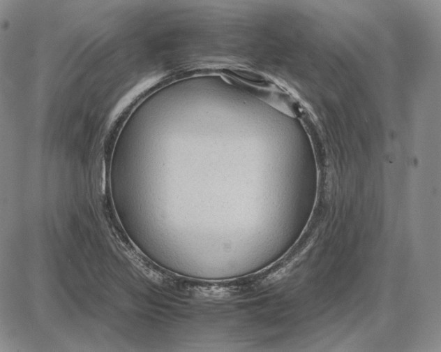 X0000087641317200705241230