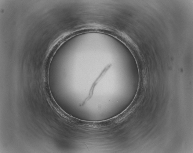 X0000087641318200705241230