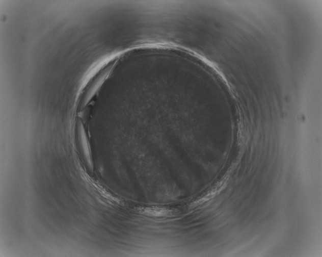 X0000087641319200705241230