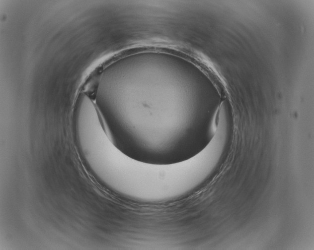 X0000087641320200705241230