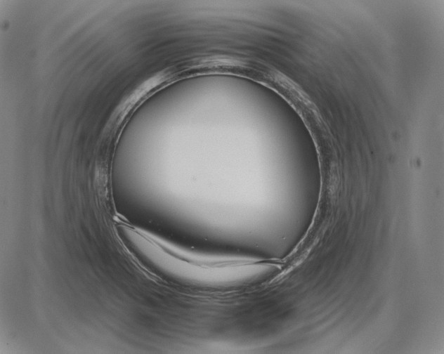 X0000087641321200705241230