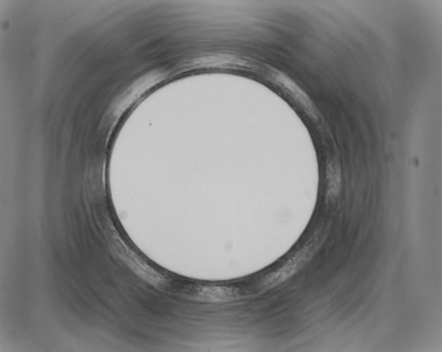 X0000087641322200705241230