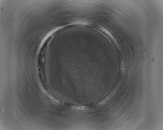 X0000087641323200705241230