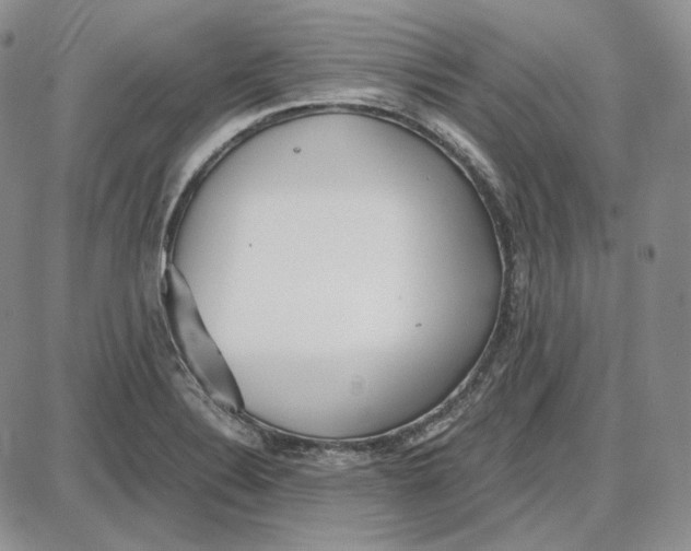 X0000087641324200705241230