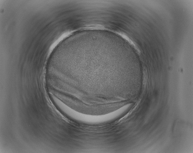 X0000087641325200705241230