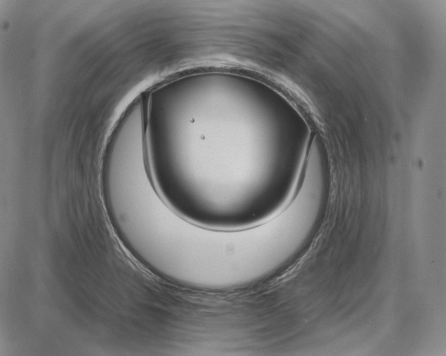 X0000087641326200705241230