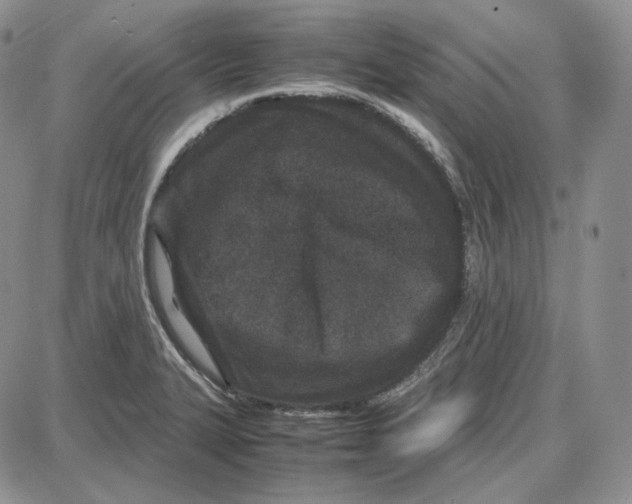 X0000087641327200705241230