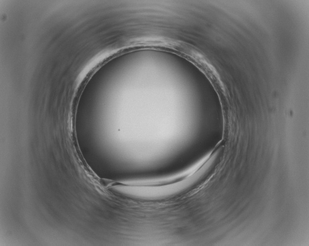 X0000087641328200705241230