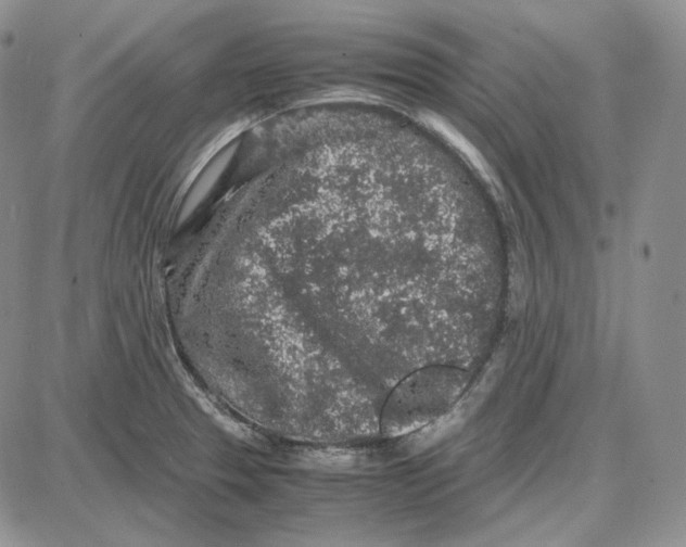 X0000087641329200705241230