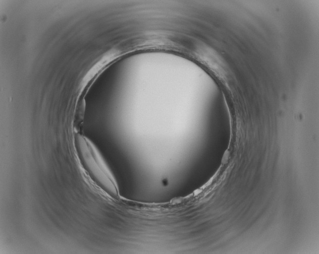 X0000087641330200705241230