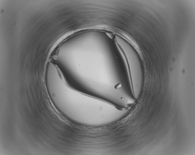 X0000087641332200705241230