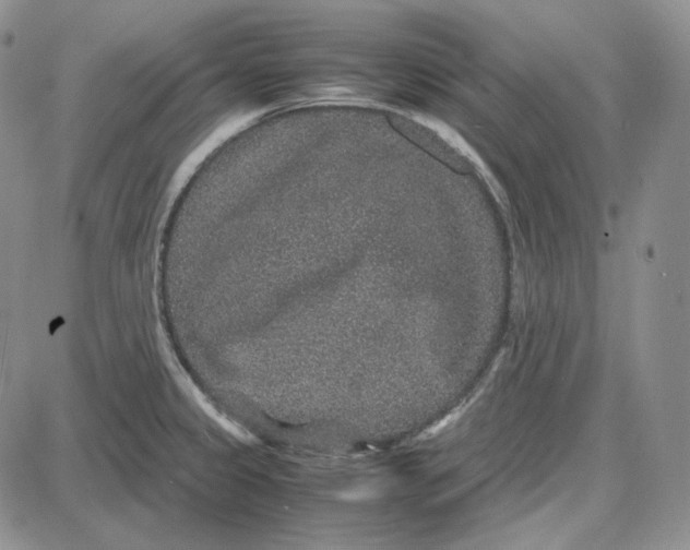 X0000087641333200705241230