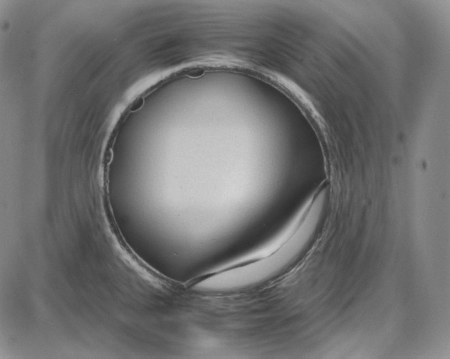 X0000087641335200705241230