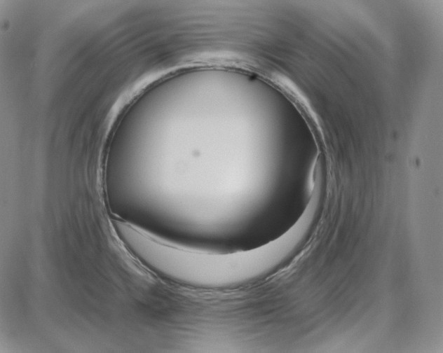 X0000087641336200705241230