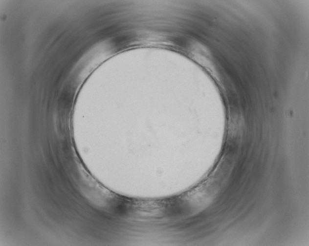 X0000087641338200705241230