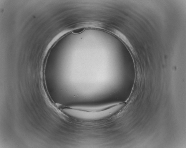 X0000087641339200705241230