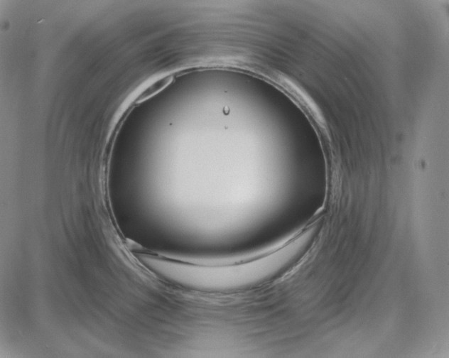 X0000087641340200705241230