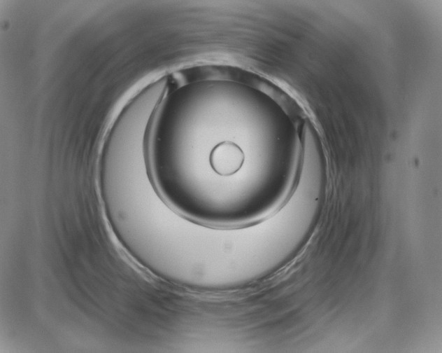 X0000087641342200705241230