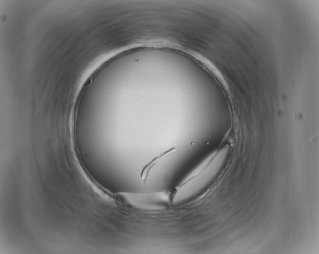 X0000087641343200705241230