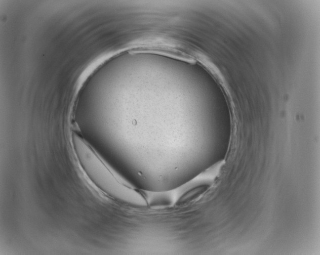 X0000087641344200705241230