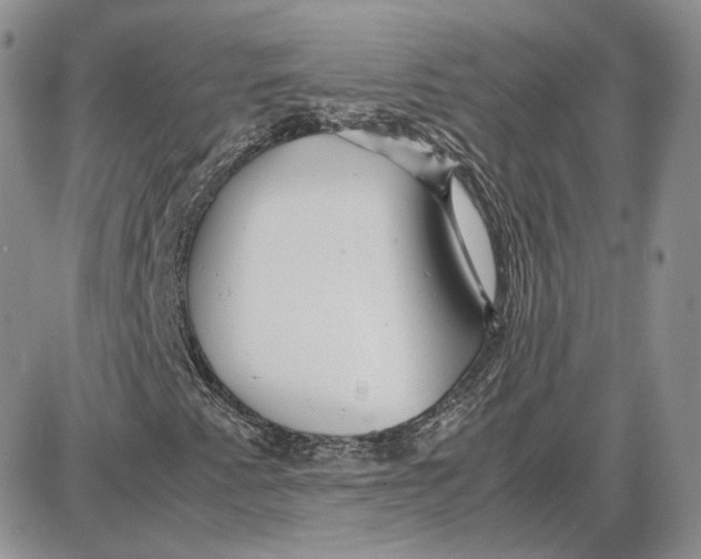 X0000087641345200705241229