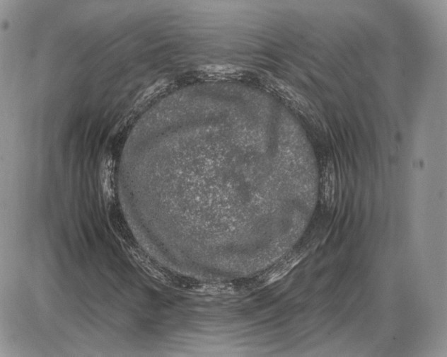 X0000087641346200705241229