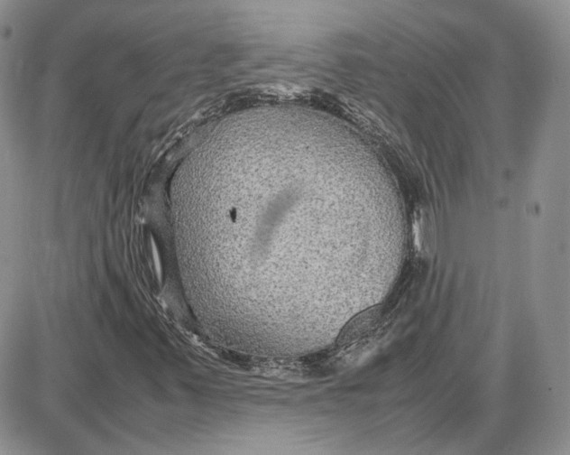 X0000087641347200705241229