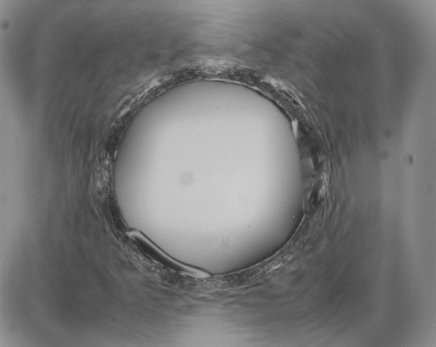 X0000087641349200705241229