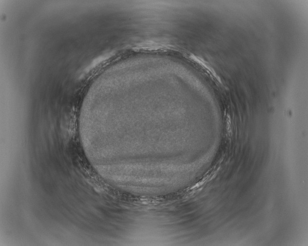 X0000087641350200705241229