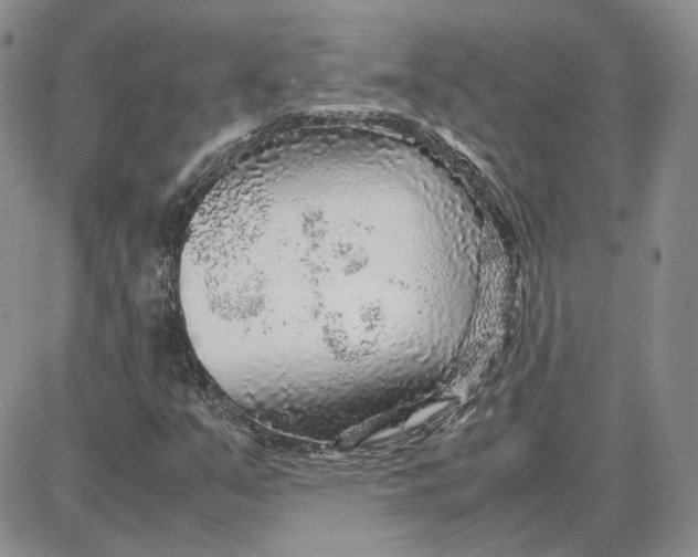 X0000087641351200705241229