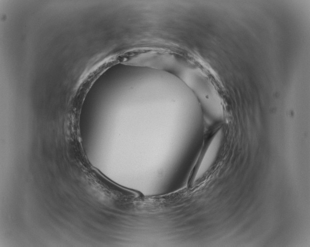 X0000087641352200705241229