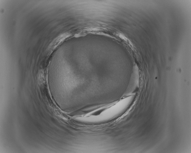 X0000087641353200705241229