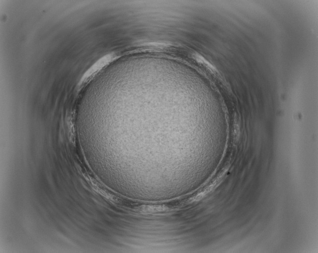 X0000087641354200705241229