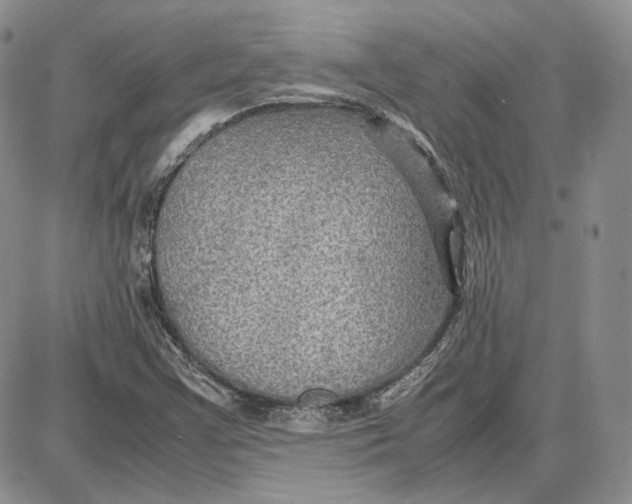 X0000087641355200705241229