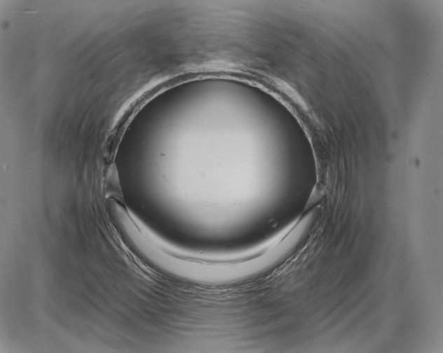 X0000087641356200705241229