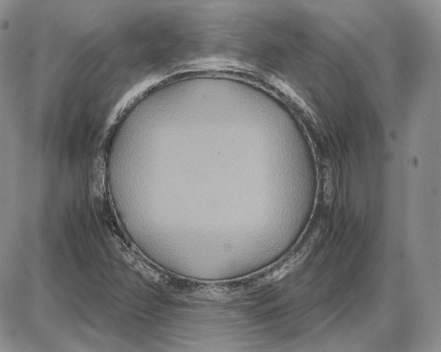 X0000087641358200705241229