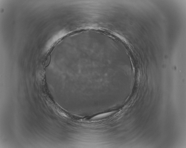 X0000087641359200705241229