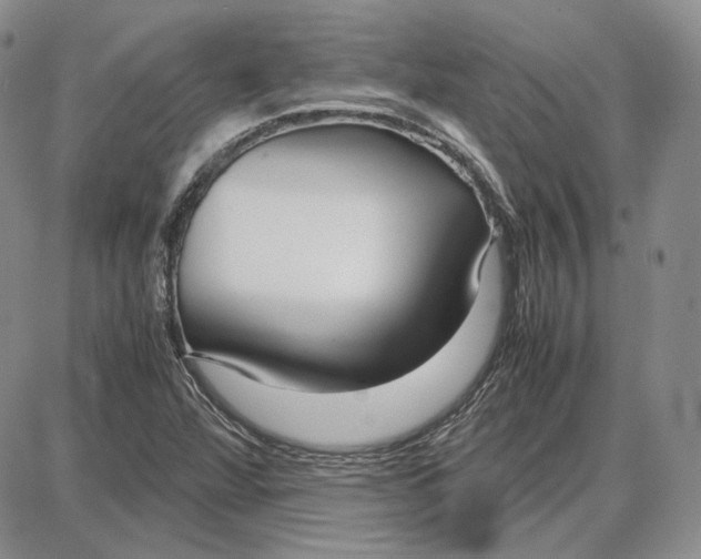 X0000087641360200705241229