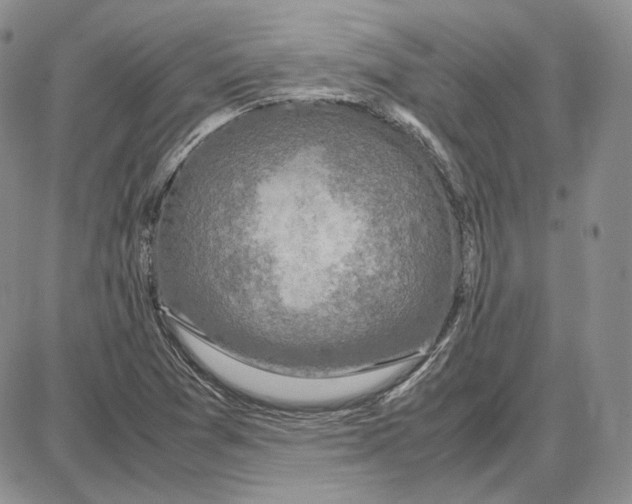 X0000087641361200705241229