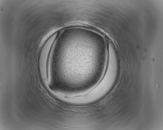 X0000087641363200705241229