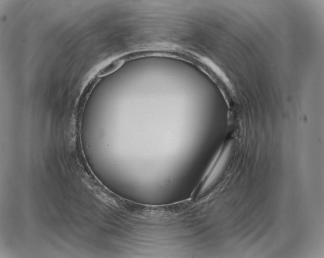 X0000087641364200705241229