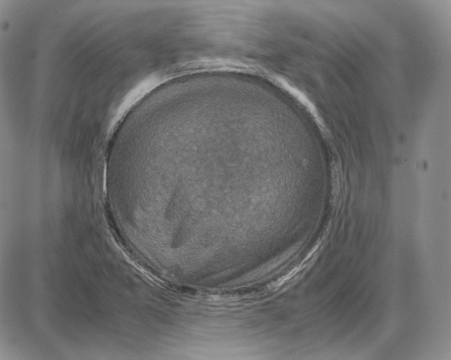 X0000087641365200705241229