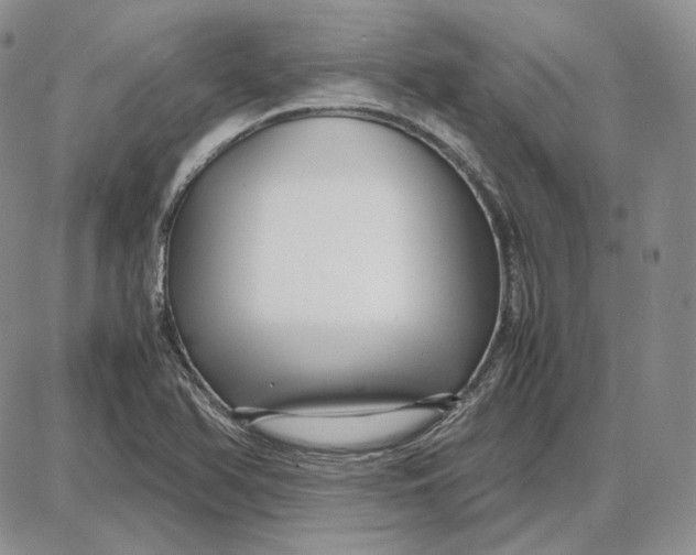 X0000087641366200705241229