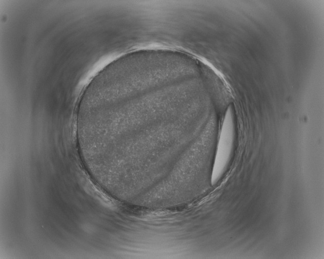 X0000087641367200705241229