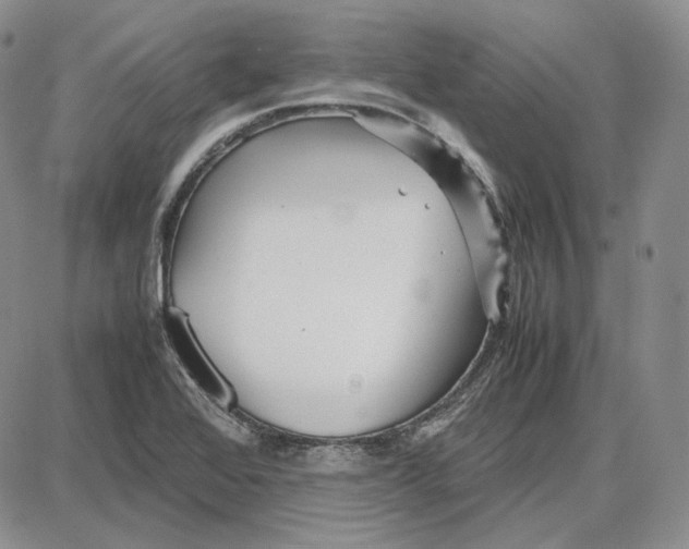 X0000087641368200705241229