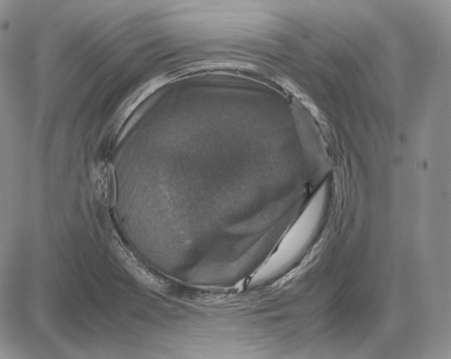 X0000087641369200705241229