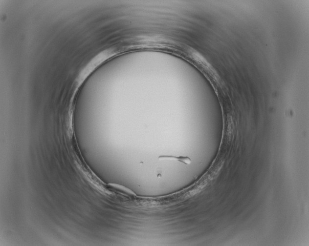 X0000087641370200705241229