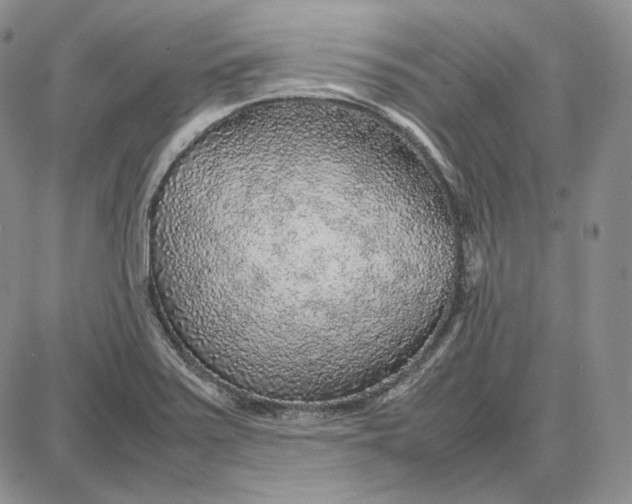 X0000087641371200705241229